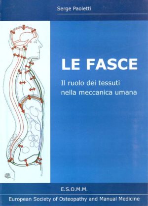 Le fasce - Il ruolo dei tessuti nella meccanica umana